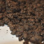 Extensief groendak dikke laag substraat