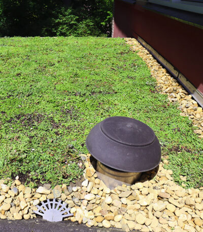 16/32 Grind voor groen dak of sedumdak