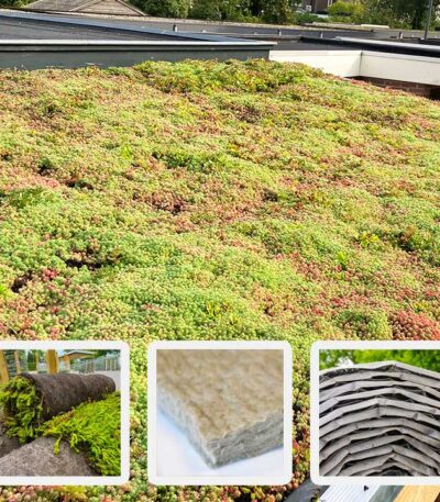 Lichtgewicht sedumdak pakket