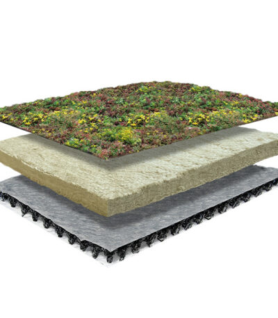 Systeem opbouw lichtgewicht sedumdak pakket