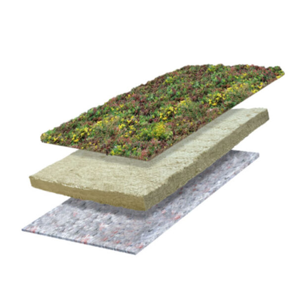 Lichtgewicht hellend sedumdak tot 20 graden