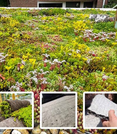 Lichtgewicht pakket Extra 40mm substraatrol waterbuffering 34 liter