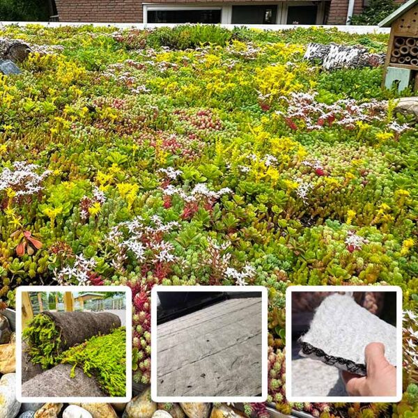 Lichtgewicht pakket Extra 40mm substraatrol waterbuffering 34 liter