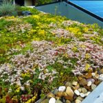 Lichtgewicht pakket Extra in bloei 40mm substraat rol 90mm dik totaal